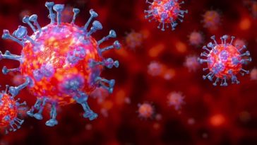 strategie per fare soldi durante il Coronavirus